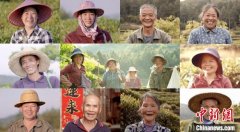 国际茶日：中国企业发起“生态茶山